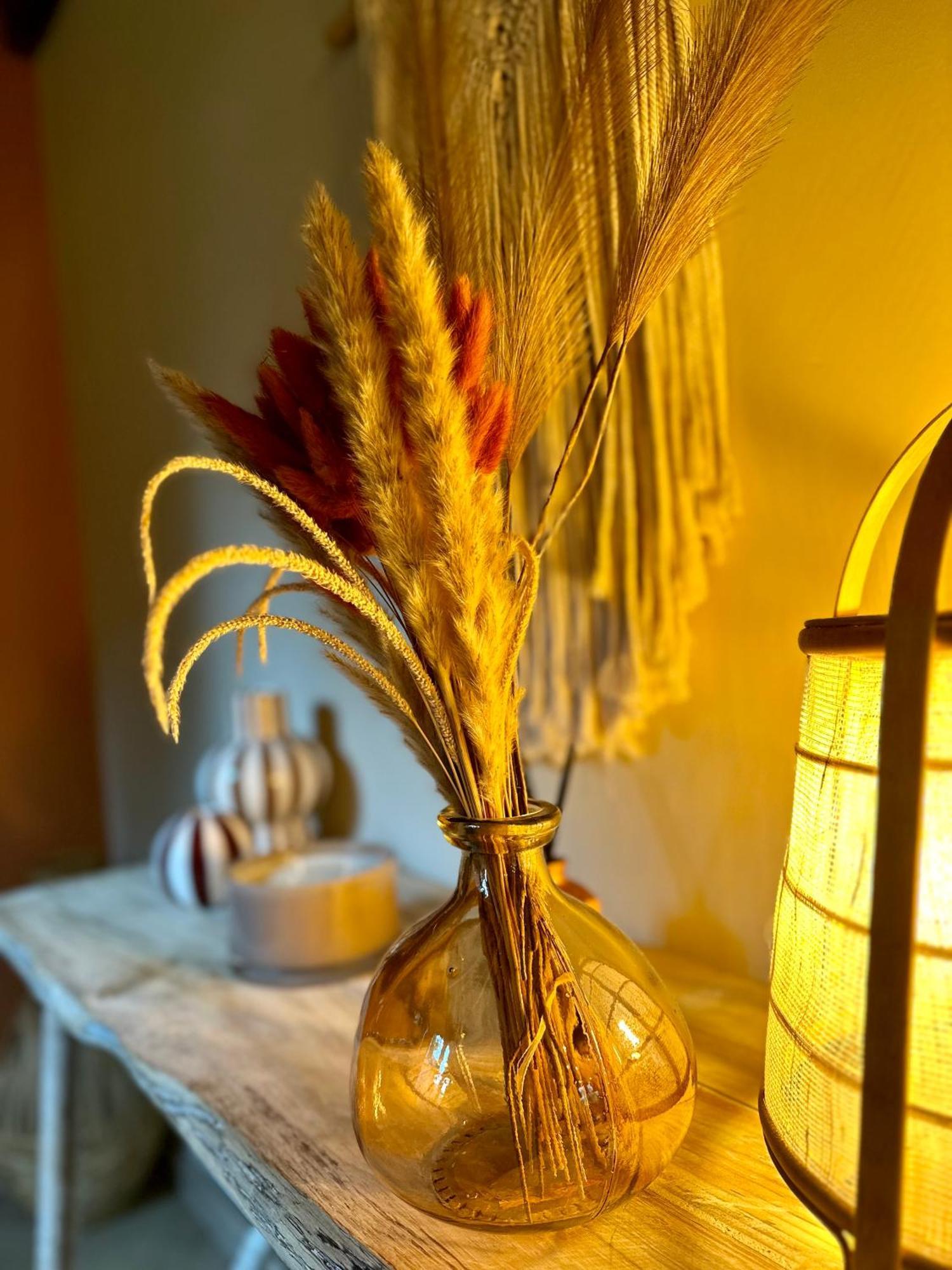 Bed and Breakfast Ferme Marie Helene Ittlenheim Exterior foto